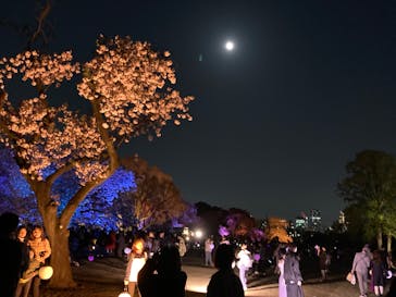 NAKED 桜の新宿御苑 2023に投稿された画像（2023/4/7）