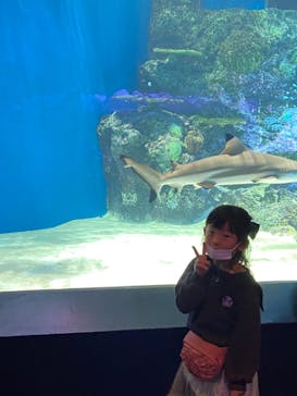 マクセル アクアパーク品川に投稿された画像（2023/4/7）