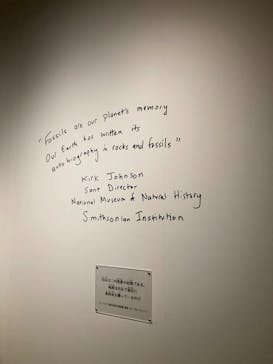 特別展「恐竜博2023」に投稿された画像（2023/4/7）