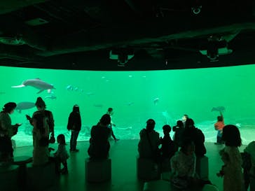 カワスイ 川崎⽔族館に投稿された画像（2023/2/22）