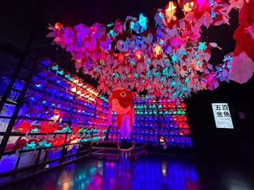 NARA KINGYO MUSEUMに投稿された画像（2023/4/7）