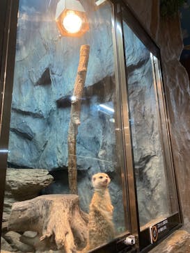 那須どうぶつ王国に投稿された画像（2023/4/7）