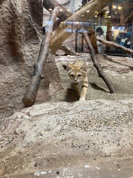 那須どうぶつ王国に投稿された画像（2023/4/7）