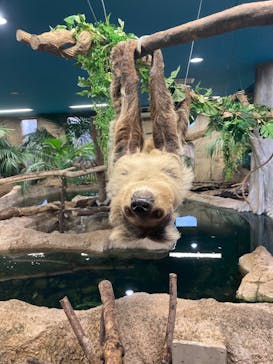 那須どうぶつ王国に投稿された画像（2023/4/7）