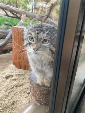 那須どうぶつ王国に投稿された画像（2023/4/7）