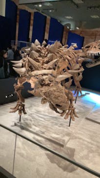 特別展「恐竜博2023」に投稿された画像（2023/4/7）