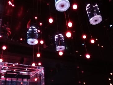 マクセル アクアパーク品川に投稿された画像（2023/4/7）