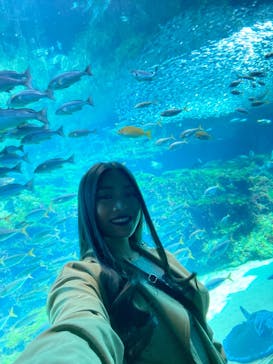 九十九島水族館海きららに投稿された画像（2023/4/7）