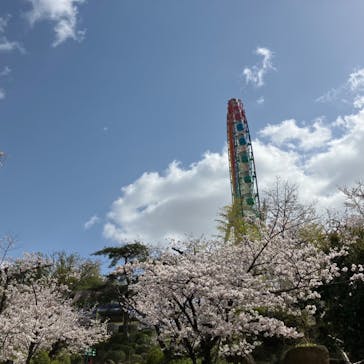 ひらかたパークに投稿された画像（2023/4/7）