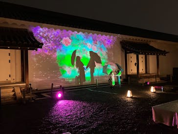 『NAKED FLOWERS 2023 桜 世界遺産・二条城』に投稿された画像（2023/4/7）