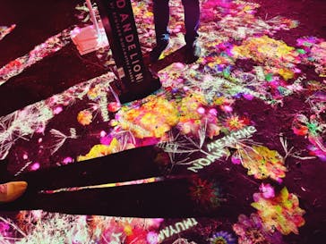 NAKED 桜の新宿御苑 2023に投稿された画像（2023/4/7）