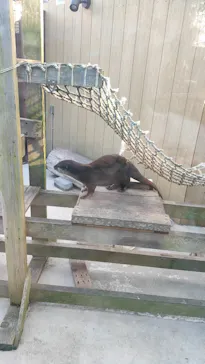 横浜・八景島シーパラダイスに投稿された画像（2023/4/7）