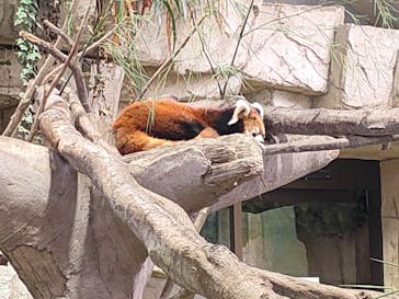 那須どうぶつ王国に投稿された画像（2023/4/7）