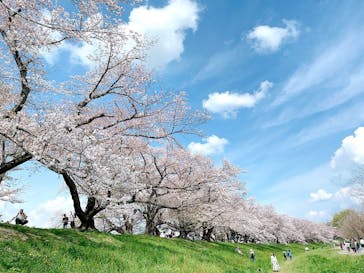 京阪電車に投稿された画像（2023/4/7）