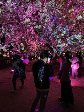 NAKED 桜の新宿御苑 2023に投稿された画像（2023/4/7）