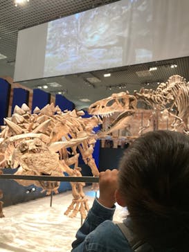特別展「恐竜博2023」に投稿された画像（2023/4/7）