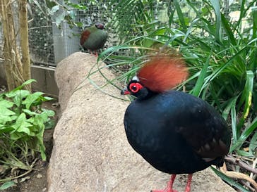 神戸どうぶつ王国に投稿された画像（2023/4/7）