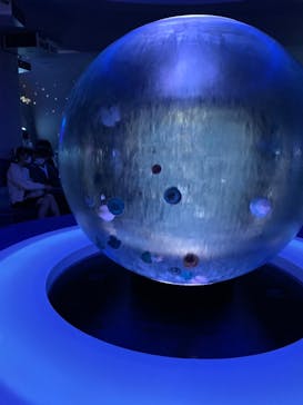 新江ノ島水族館に投稿された画像（2023/4/7）