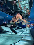 名古屋港水族館に投稿された画像（2023/4/8）