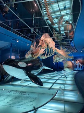 名古屋港水族館に投稿された画像（2023/4/7）