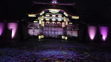 『NAKED FLOWERS 2023 桜 世界遺産・二条城』に投稿された画像（2023/4/7）