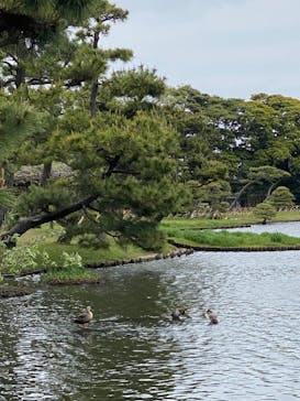 三溪園に投稿された画像（2023/4/7）