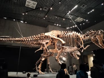 特別展「恐竜博2023」に投稿された画像（2023/4/7）