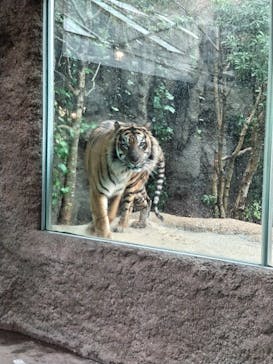 神戸どうぶつ王国に投稿された画像（2023/4/7）