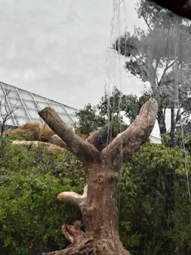 神戸どうぶつ王国に投稿された画像（2023/4/7）