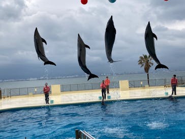 マリンワールド海の中道に投稿された画像（2023/4/8）