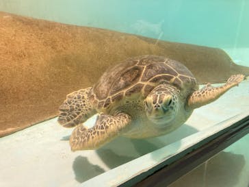 マリンワールド海の中道に投稿された画像（2023/4/8）