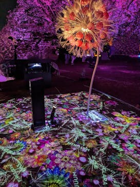 NAKED 桜の新宿御苑 2023に投稿された画像（2023/4/8）