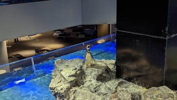 すみだ水族館に投稿された画像（2023/4/8）