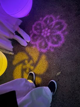 NAKED 桜の新宿御苑 2023に投稿された画像（2023/4/8）