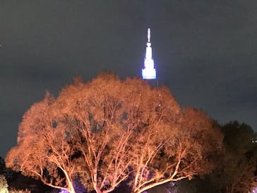 NAKED 桜の新宿御苑 2023に投稿された画像（2023/4/8）