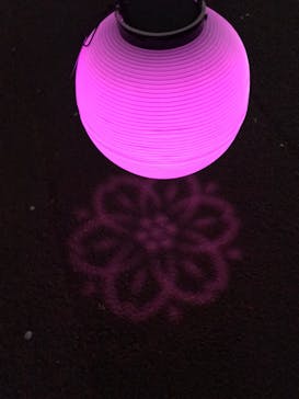 NAKED 桜の新宿御苑 2023に投稿された画像（2023/4/8）