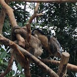 神戸どうぶつ王国に投稿された画像（2023/4/8）