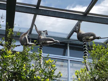 神戸どうぶつ王国に投稿された画像（2023/4/8）