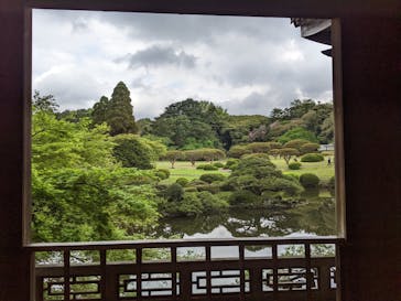 新宿御苑に投稿された画像（2023/4/8）