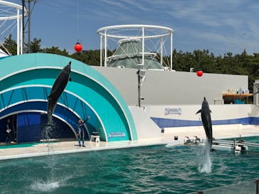 鴨川シーワールドに投稿された画像（2023/4/8）