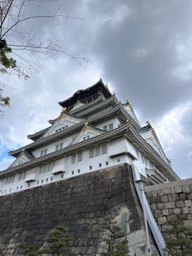 大阪城天守閣に投稿された画像（2023/4/8）