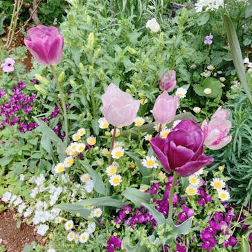 横浜イングリッシュガーデンに投稿された画像（2023/4/8）