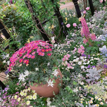 横浜イングリッシュガーデンに投稿された画像（2023/4/8）