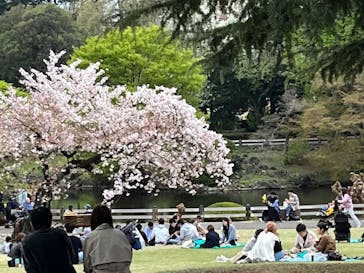 新宿御苑に投稿された画像（2023/4/8）