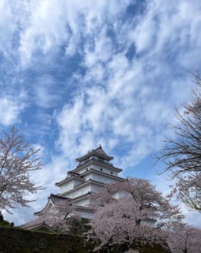 鶴ヶ城に投稿された画像（2023/4/8）