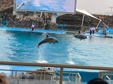 名古屋港水族館に投稿された画像（2023/4/8）