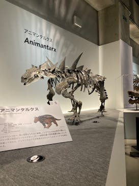 特別展「恐竜博2023」に投稿された画像（2023/4/8）