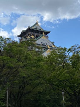大阪城天守閣に投稿された画像（2023/4/8）