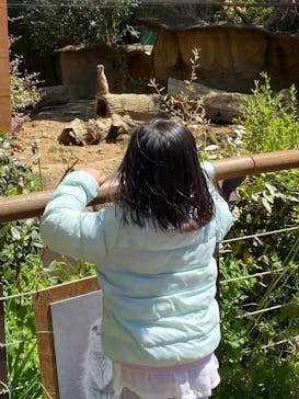 到津の森公園に投稿された画像（2023/4/8）