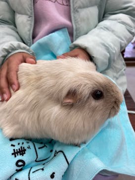 到津の森公園に投稿された画像（2023/4/8）